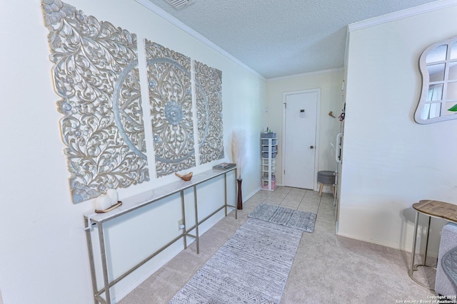 5003 Rustic Rdg, San Antonio, TX 78228 - hallway with a textured ceiling, carpet flooring, crown molding, and baseboards