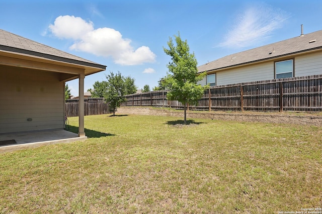 view of yard featuring a patio area