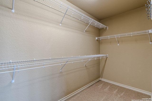 15522 Echo, Selma, TX 78154 - walk in closet featuring carpet flooring