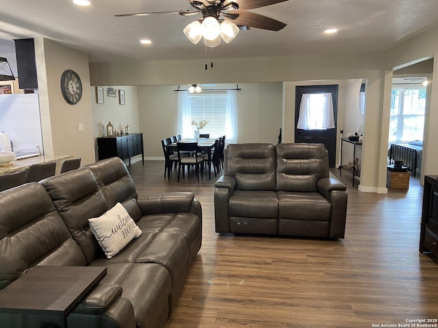 326 Riverview, Mcqueeney, TX 78123 - living room featuring wood finished floors, a ceiling fan, recessed lighting, radiator heating unit, and baseboards