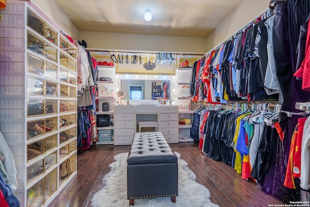 11607 Pelican Pass, San Antonio, TX 78221 - walk in closet with hardwood / wood-style floors