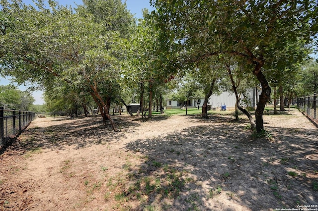 149 Chisum Ln, Vernia, TX 78121 - view of yard