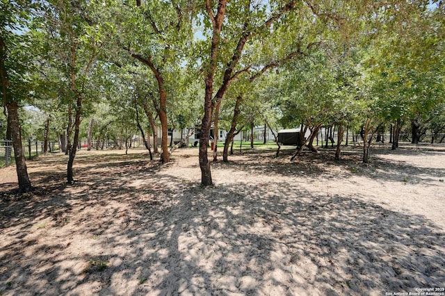 149 Chisum Ln, Vernia, TX 78121 - view of yard