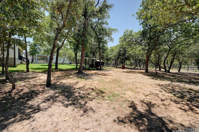 149 Chisum Ln, Vernia, TX 78121 - view of yard