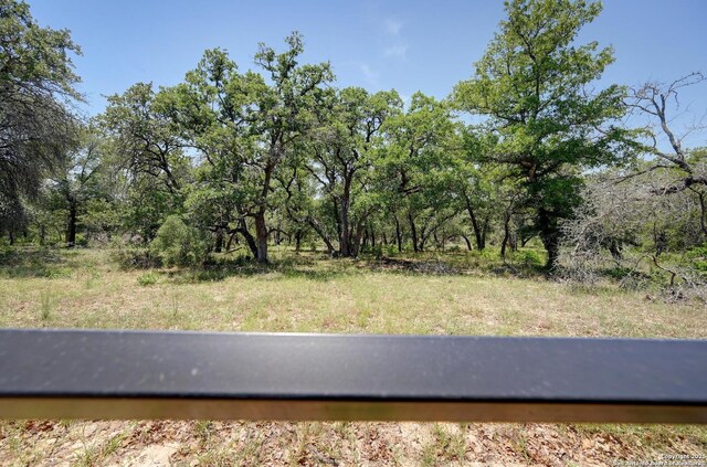149 Chisum Ln, Vernia, TX 78121 - view of yard