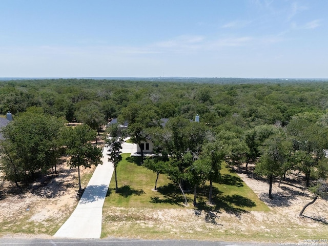 149 Chisum Ln, Vernia, TX 78121 - bird's eye view of a forest