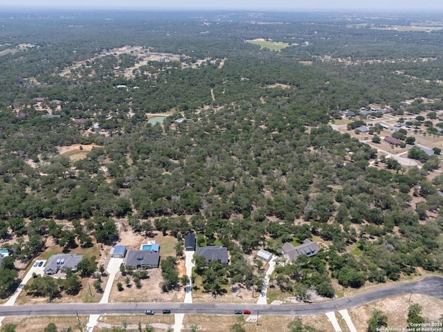 149 Chisum Ln, Vernia, TX 78121 - bird's eye view of a forest