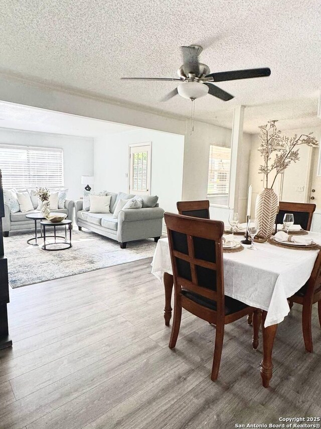 1303 Billings Dr, San Antonio, TX 78245 - dining room featuring a textured ceiling, healthy amount of natural light, wood finished floors, and ceiling fan