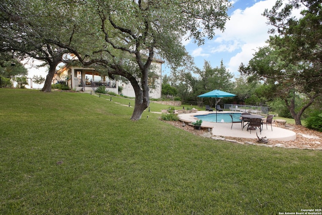 393 Upland Ct, Canyon Lake, TX 78133 - view of yard with a patio and an outdoor pool