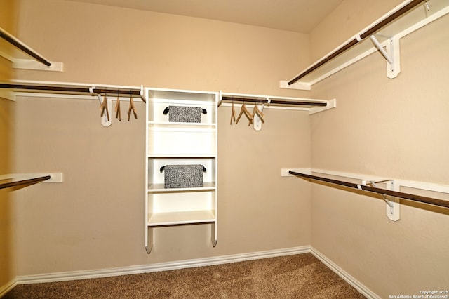 14402 Palomino Pl, San Antonio, TX 78254 - walk in closet featuring carpet flooring