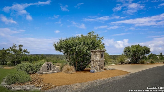 286 Settlers, Comfort, TX 78013 - view of community