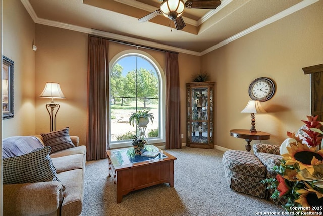 286 Settlers, Comfort, TX 78013 - carpeted living room with ceiling fan, crown molding, a raised ceiling, and baseboards