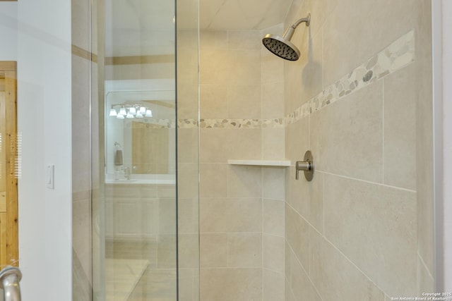 24005 Pedernales Canyon Trl, Spicewood, TX 78669 - bathroom featuring a shower stall