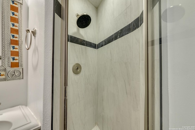 24005 Pedernales Canyon Trl, Spicewood, TX 78669 - bathroom with a shower stall