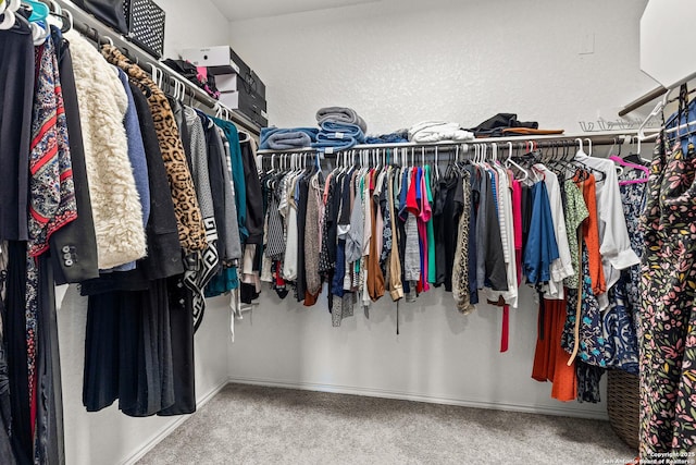 2126 Elysian, San Antonio, TX 78253 - walk in closet with carpet floors