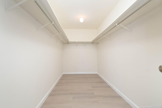 5118 Kayla Brk, San Antonio, TX 78251 - walk in closet with light wood finished floors