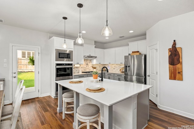 1527 Balcones Fault, New Braunfels, TX 78132 - kitchen with stainless steel appliances, under cabinet range hood, dark wood finished floors, baseboards, and recessed lighting