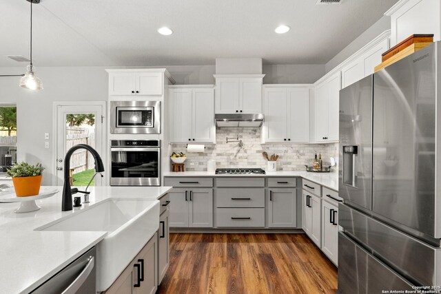 1527 Balcones Fault, New Braunfels, TX 78132 - kitchen featuring appliances with stainless steel finishes, gray cabinetry, under cabinet range hood, a sink, and light countertops