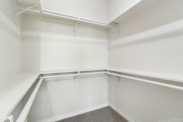 306 Joe Blanks St, San Antonio, TX 78237 - walk in closet with carpet floors
