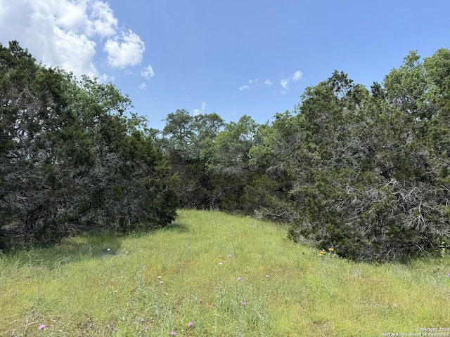 343 Serenity Pass, Spring Branch, TX 78070