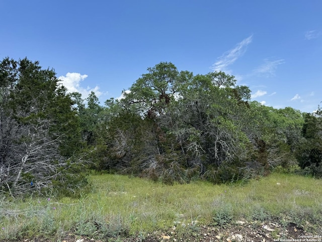 343 Serenity Pass, Spring Branch, TX 78070