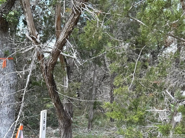 343 Serenity Pass, Spring Branch, TX 78070