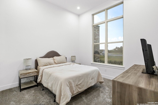 187 Stone Loop, Castroville, TX 78009 - bedroom with baseboards, carpet, and recessed lighting