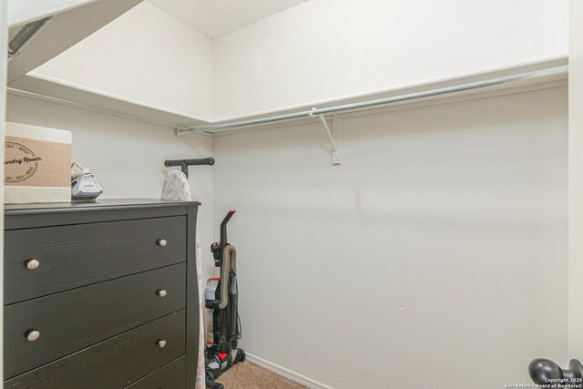 926 Zwicke, Seguin, TX 78155 - spacious closet featuring carpet floors