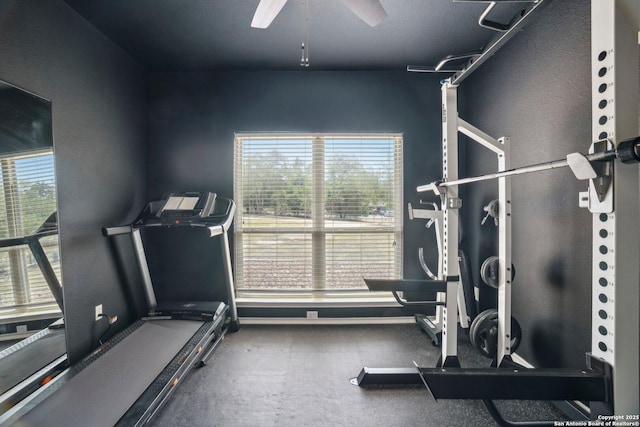 346 Broken Arrow, Floresville, TX 78114 - workout room featuring plenty of natural light and a ceiling fan