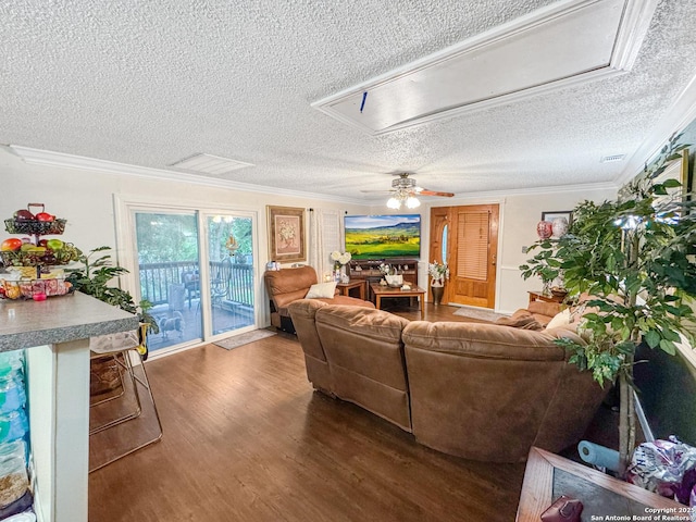 602 Hortencia Ave, San Antonio, TX 78237 - living area featuring attic access, a textured ceiling, wood finished floors, ornamental molding, and a ceiling fan
