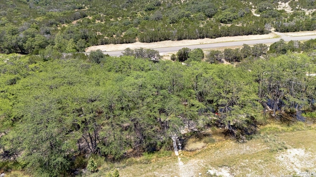 211 Roy Chisum Rd, Leakey, TX 78873 - view of property location with a heavily wooded area
