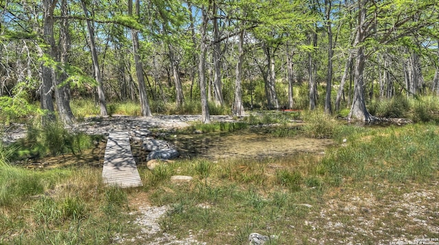 211 Roy Chisum Rd, Leakey, TX 78873 - view of yard