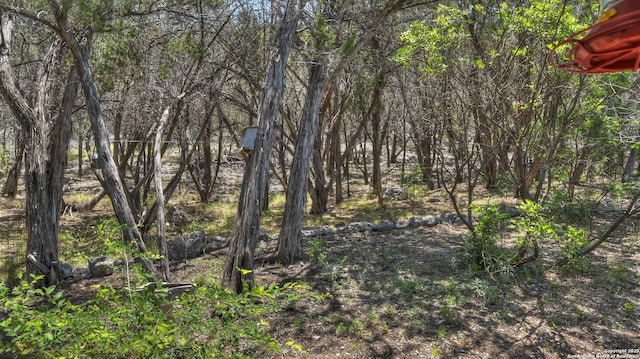211 Roy Chisum Rd, Leakey, TX 78873 - view of local wilderness