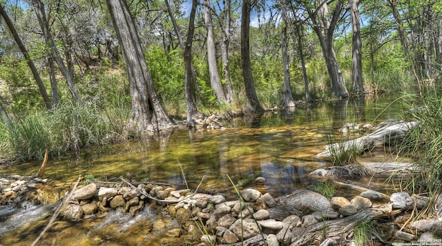 211 Roy Chisum Rd, Leakey, TX 78873 - view of undeveloped land