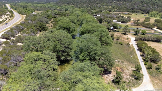 211 Roy Chisum Rd, Leakey, TX 78873 - view of property location featuring a forest