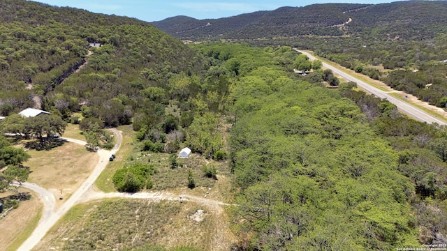 211 Roy Chisum Rd, Leakey, TX 78873 - view of property location with a heavily wooded area and a mountain backdrop
