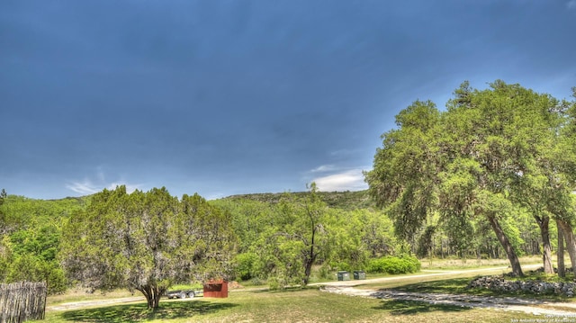 211 Roy Chisum Rd, Leakey, TX 78873 - surrounding community featuring a forest view and a lawn