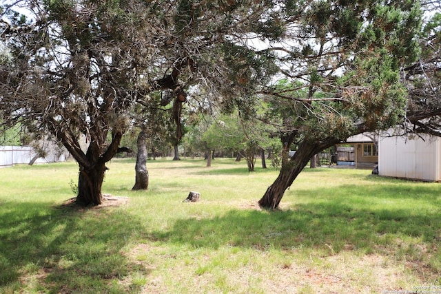 1306 Mountain Vw, Pipe Creek, TX 78063 - view of yard