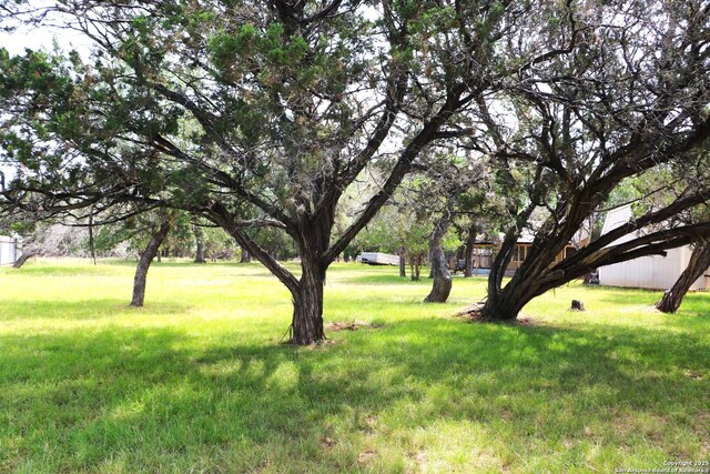 1306 Mountain Vw, Pipe Creek, TX 78063 - view of grassy yard