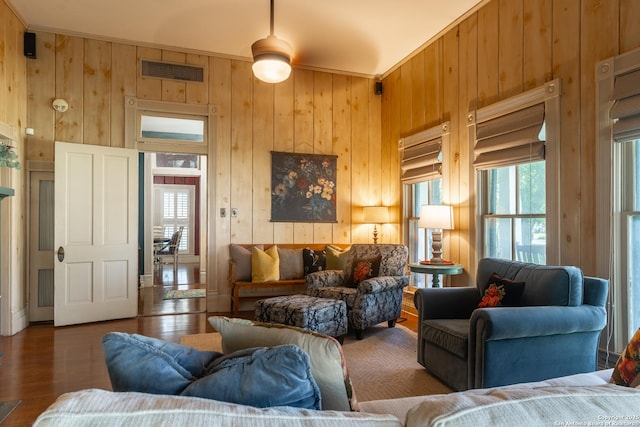 529 N High, Uvalde, TX 78801 - living area featuring wooden walls, plenty of natural light, and wood finished floors