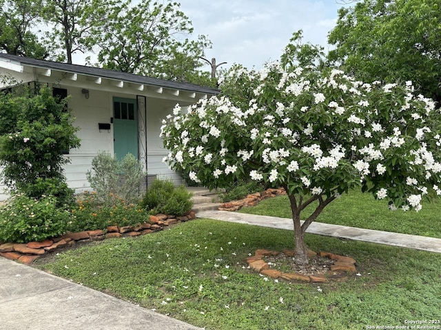 345 Westminster, San Antonio, TX 78228 - property entrance featuring a lawn