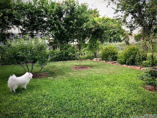 345 Westminster, San Antonio, TX 78228 - view of yard