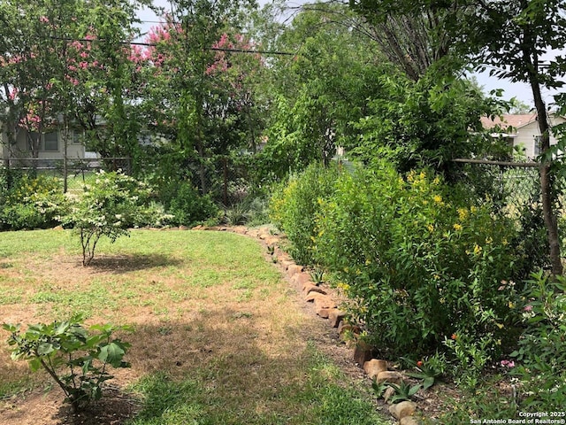 345 Westminster, San Antonio, TX 78228 - view of yard