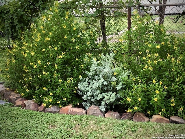 345 Westminster, San Antonio, TX 78228 - view of local wilderness
