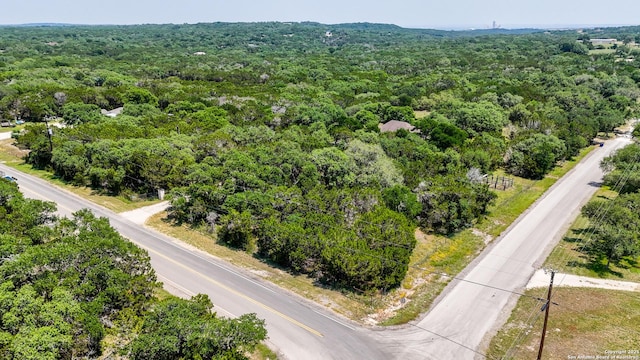 7881 Wegner, New Braunfels, TX 78132 - aerial view of a forest