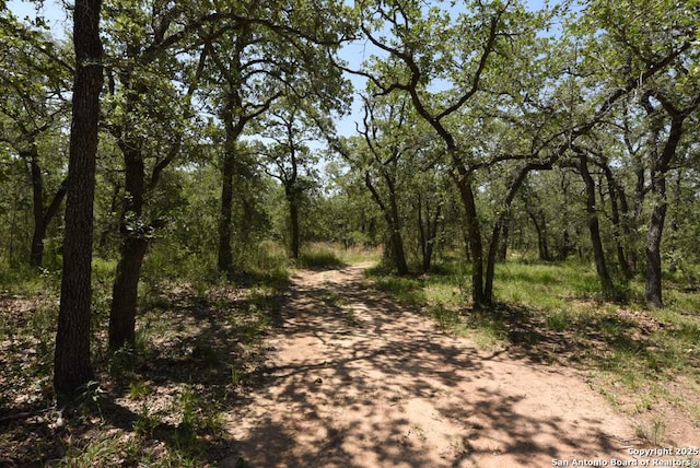 1464 Cross Rd, Kingsbury, TX 78638