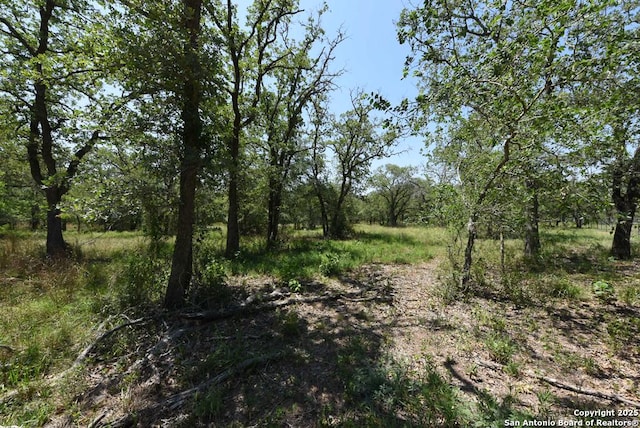1464 Cross Rd, Kingsbury, TX 78638