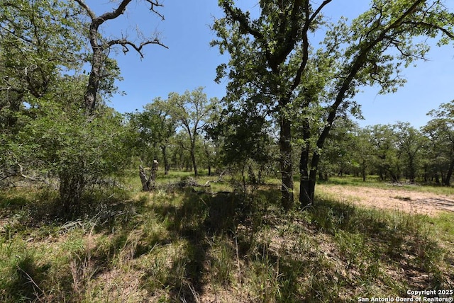 1464 Cross Rd, Kingsbury, TX 78638