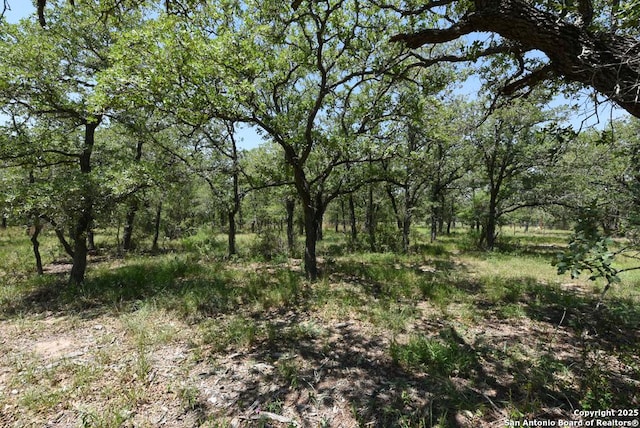 1464 Cross Rd, Kingsbury, TX 78638