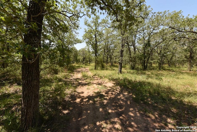 1464 Cross Rd, Kingsbury, TX 78638